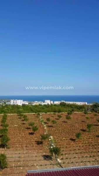 Erdemli limonlu tırtar satılık imarlı arsa