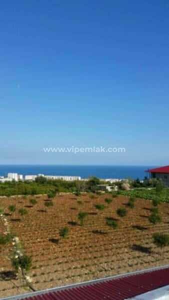 Erdemli limonlu tırtar satılık imarlı arsa