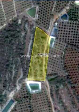 Erdemli limonlu batısandal  2785m2 satılık tarla
