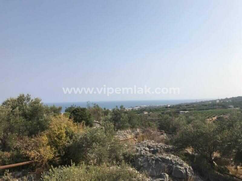 MERSİN ERDEMLİ LEMAS TA 3432 M2 SATILIK TARLA