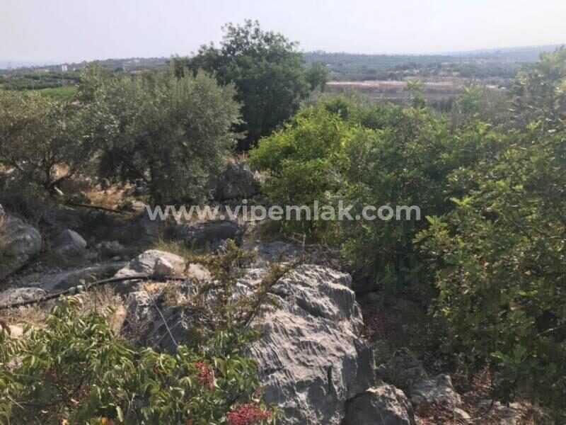 MERSİN ERDEMLİ LEMAS TA 3432 M2 SATILIK TARLA
