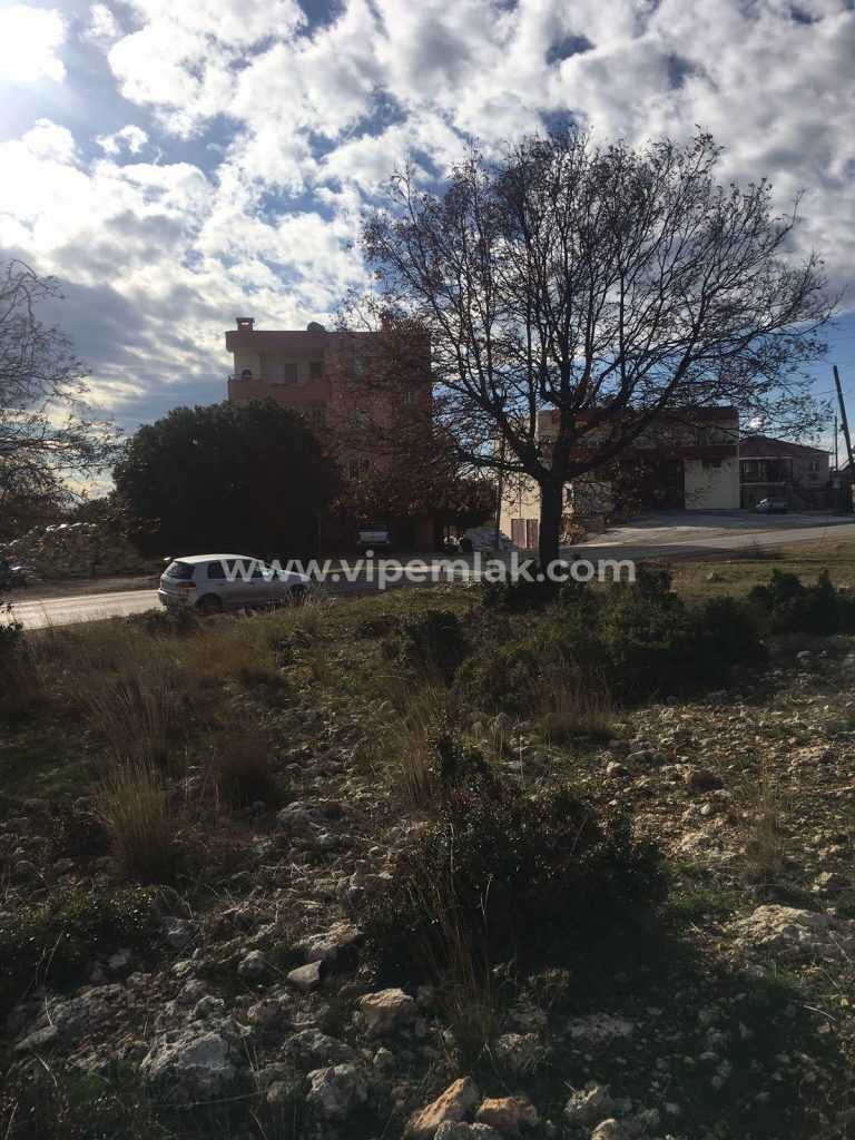 ERDEMLİ ARSLANLI YAYLASINDE GÜZELOLUK YOLUNA SIFIR SATILIK TARLA