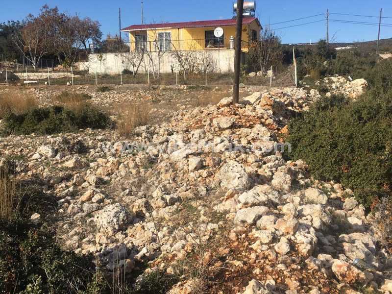 ERDEMLİ ARSLANLI YAYLASINDE GÜZELOLUK YOLUNA SIFIR SATILIK TARLA