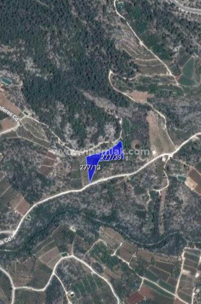 MERSİN ERDEMLİ KUMKUYU TIRTAR 5156M2 1400M2 LİMON BAHCESİ SAHİBİNDEN BİLE UYGUN