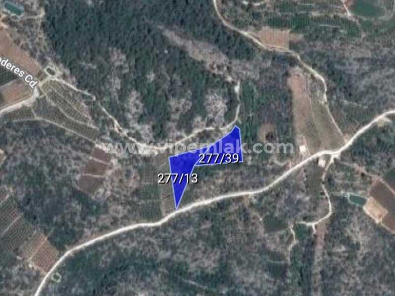 MERSİN ERDEMLİ KUMKUYU TIRTAR 5156M2 1400M2 LİMON BAHCESİ SAHİBİNDEN BİLE UYGUN