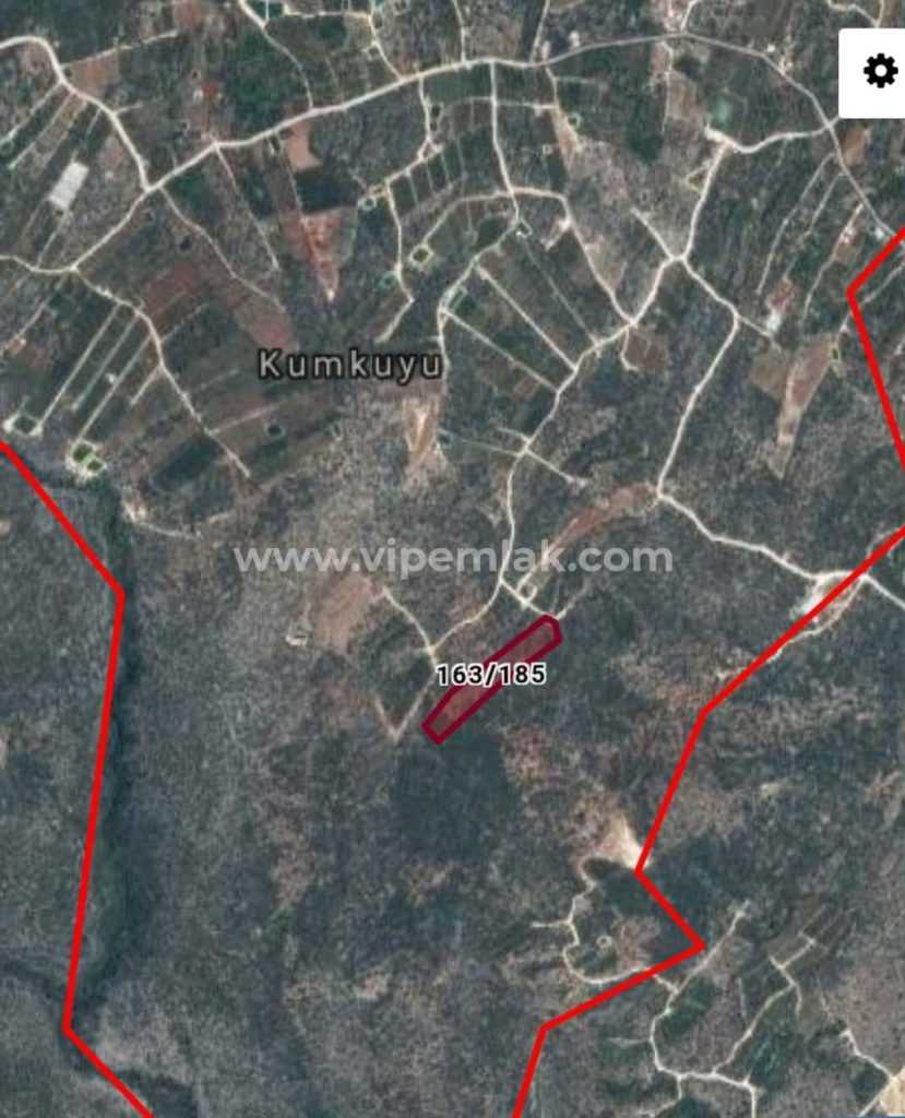 MERSİN ERDEMLİ AYAŞDA 11716m2 SATILIK TARLA