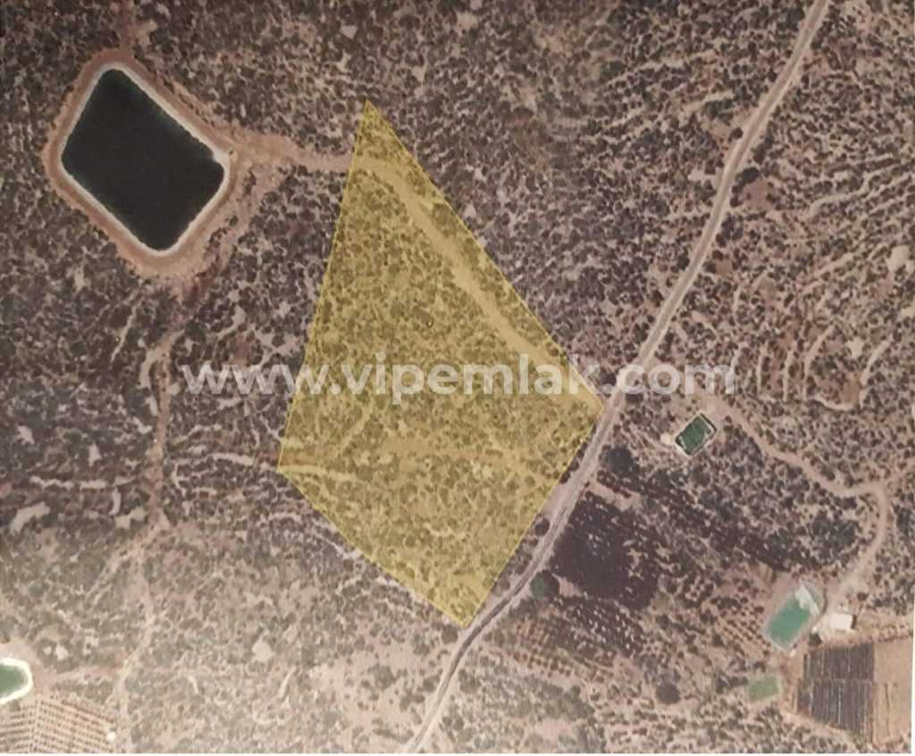 MERSİN ERDEMLİ AYAŞ TA SATILIK 24883M2 TARLA