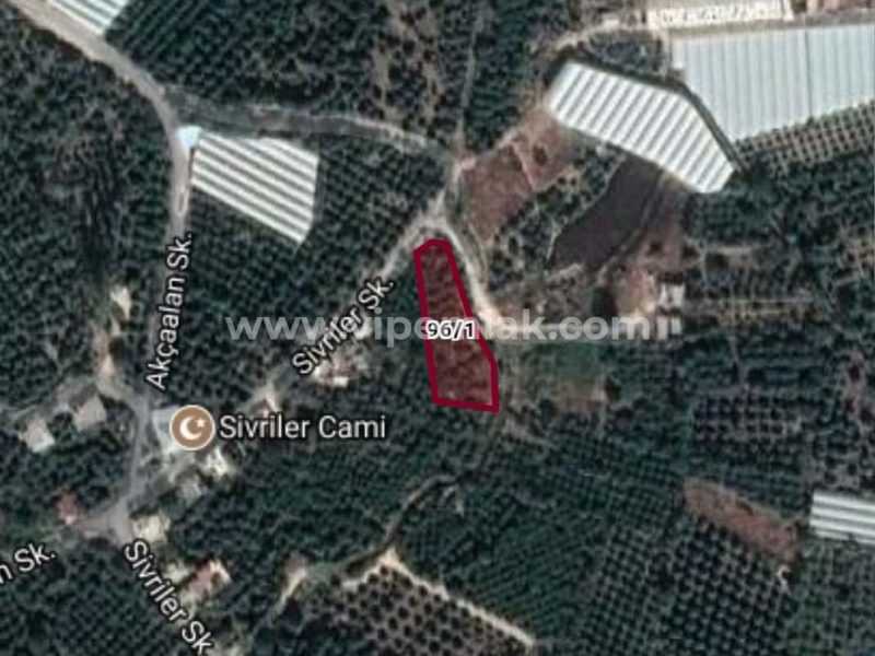 MERSİN ERDEMLİ YÜKSEK MAHALLESİNDE 1558m2 SATILIK TARLA