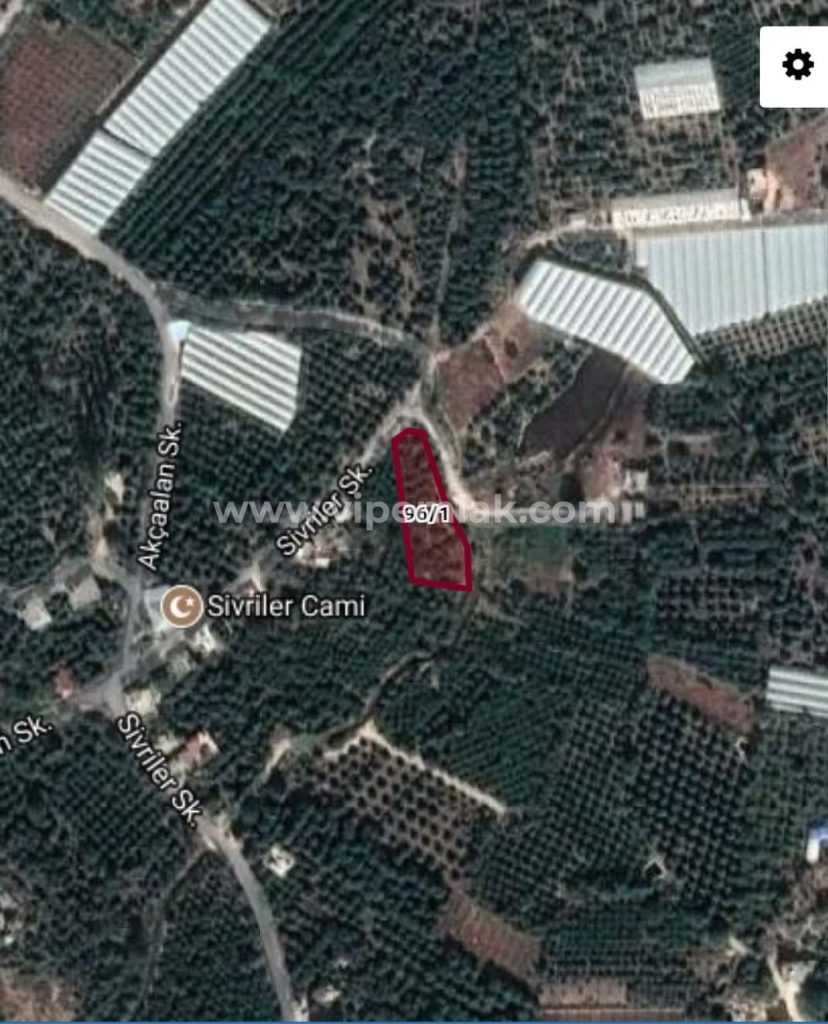 MERSİN ERDEMLİ YÜKSEK MAHALLESİNDE 1558m2 SATILIK TARLA