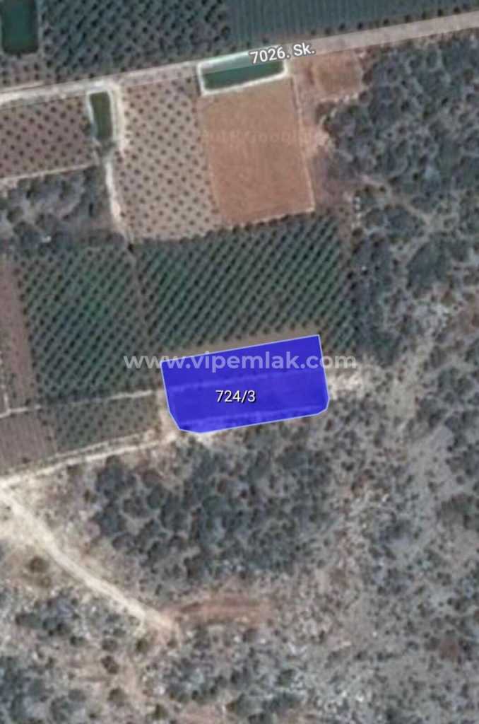 MERSİN ERDEMLİ KOYUNCU MAHALLESİNDE 1708 M2 SATILIK ARSA