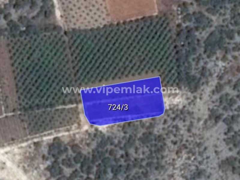MERSİN ERDEMLİ KOYUNCU MAHALLESİNDE 1708 M2 SATILIK ARSA