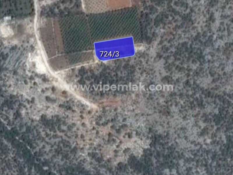 MERSİN ERDEMLİ KOYUNCU MAHALLESİNDE 1708 M2 SATILIK ARSA