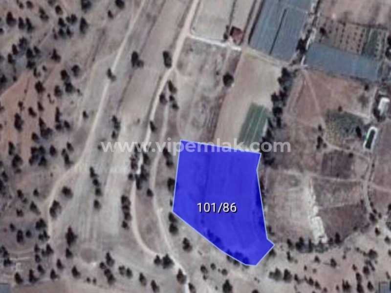 ERDEMLİ SARIKAYA YAYLASI SATILIK TARLA 7215M2