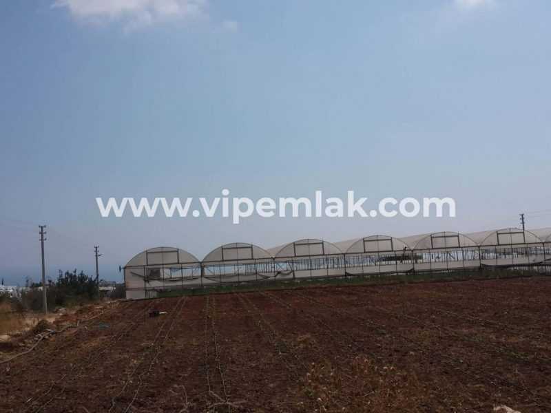 ERDEMLİ KOYUNCU İMARLI 5623M2 SATILIK ARSA