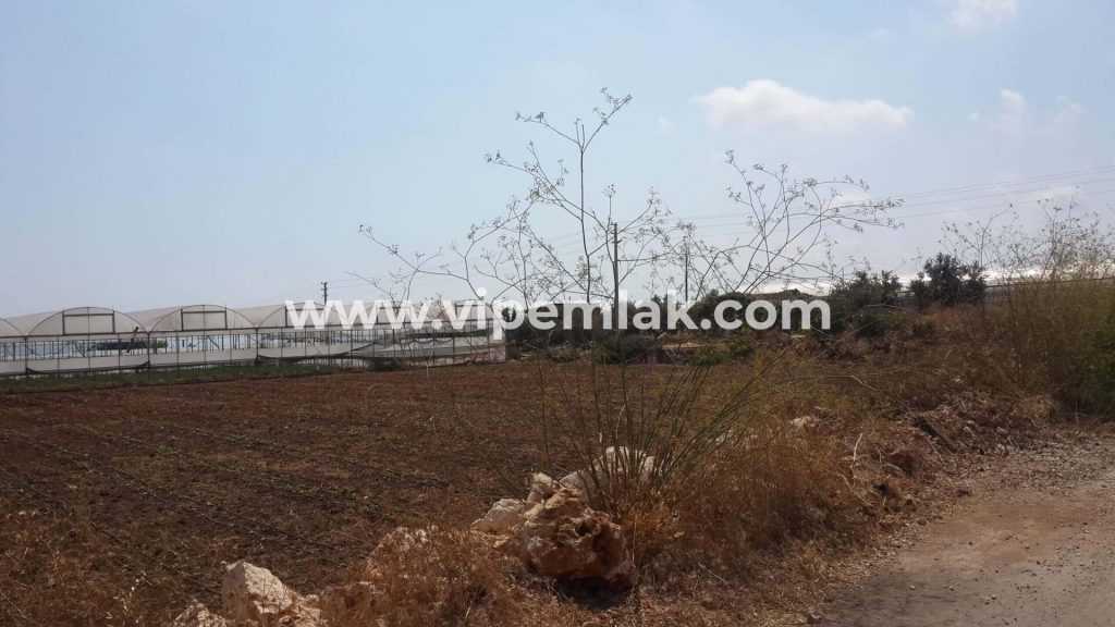 ERDEMLİ SİTE OLMAYA MUSAİT DENİZ MANZARALI SATILIKVİLLALIK ARSA