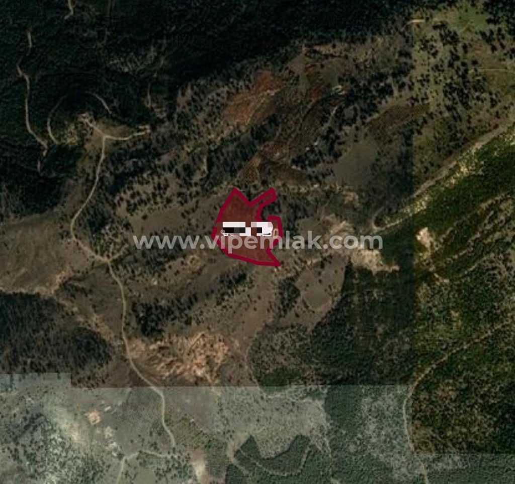 toroslar atlılar mevki 30 dönüm müstakil tapulu 42 dönüm satılık kiraz bahçesi