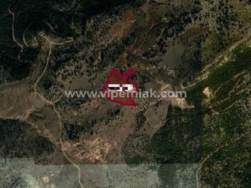 toroslar atlılar mevki 30 dönüm müstakil tapulu 42 dönüm satılık kiraz bahçesi