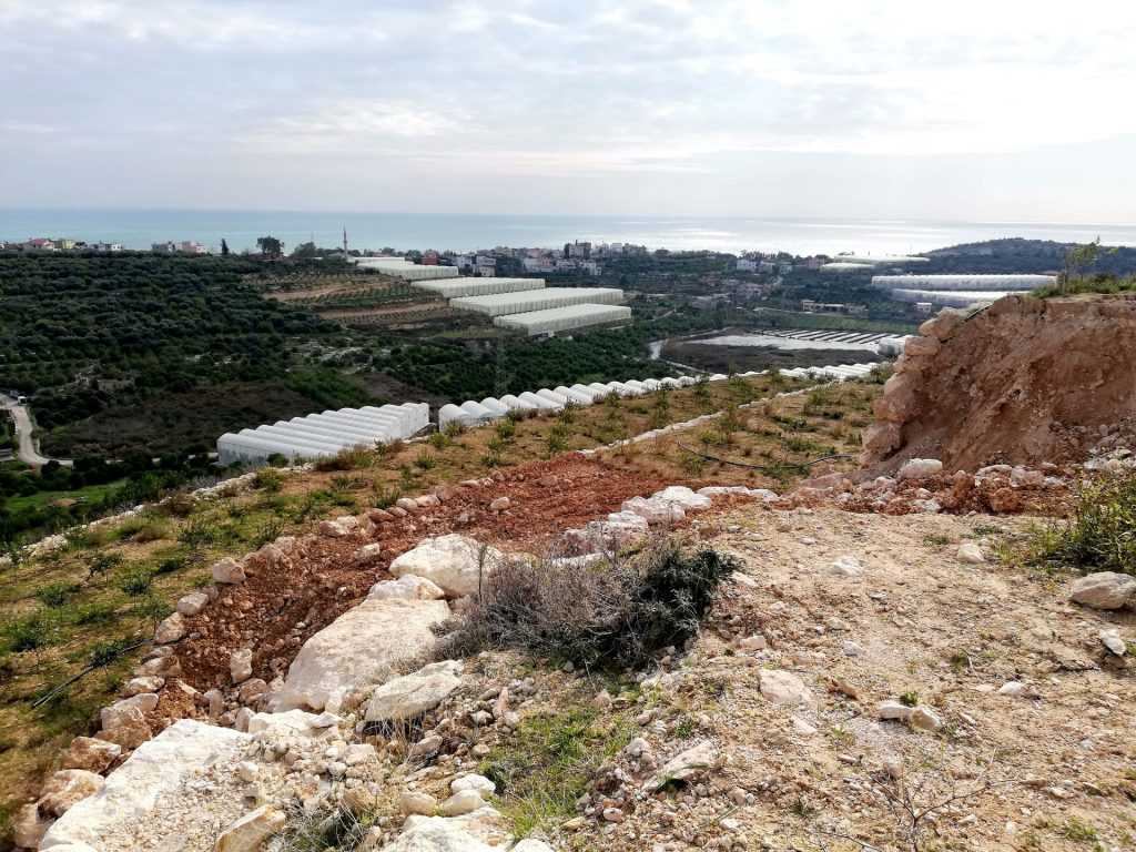 ERDEMLİ KOCAHASANLIDA 32 DÖNÜM LİMON BAHÇESİ VE SOĞUK HAVA DEPOSU