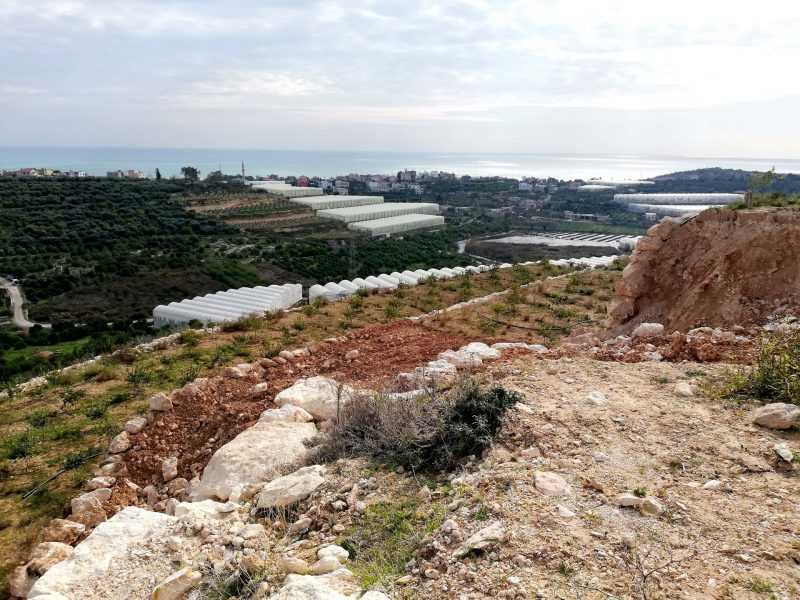 ERDEMLİ KOCAHASANLIDA 32 DÖNÜM LİMON BAHÇESİ VE SOĞUK HAVA DEPOSU