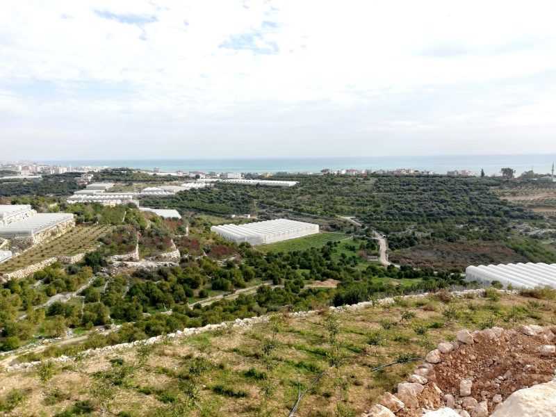 ERDEMLİ KOCAHASANLIDA 32 DÖNÜM LİMON BAHÇESİ VE SOĞUK HAVA DEPOSU