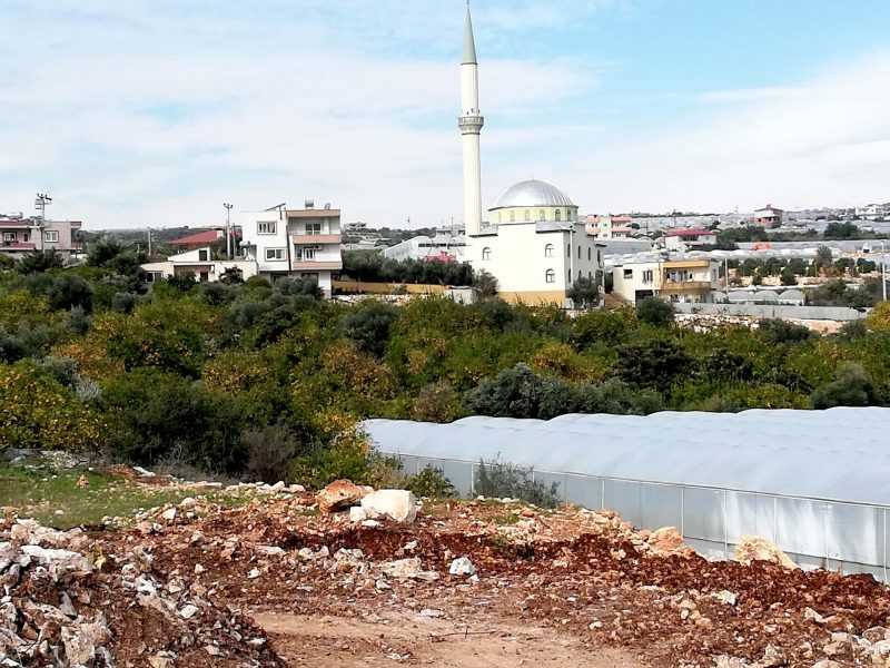 ERDEMLİ KOCAHASANLIDA 32 DÖNÜM LİMON BAHÇESİ VE SOĞUK HAVA DEPOSU