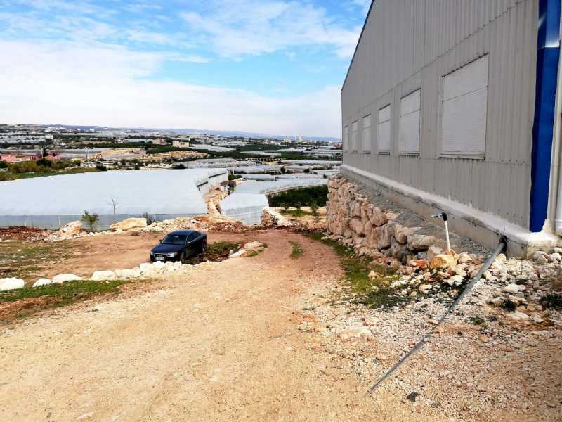 ERDEMLİ KOCAHASANLIDA 32 DÖNÜM LİMON BAHÇESİ VE SOĞUK HAVA DEPOSU