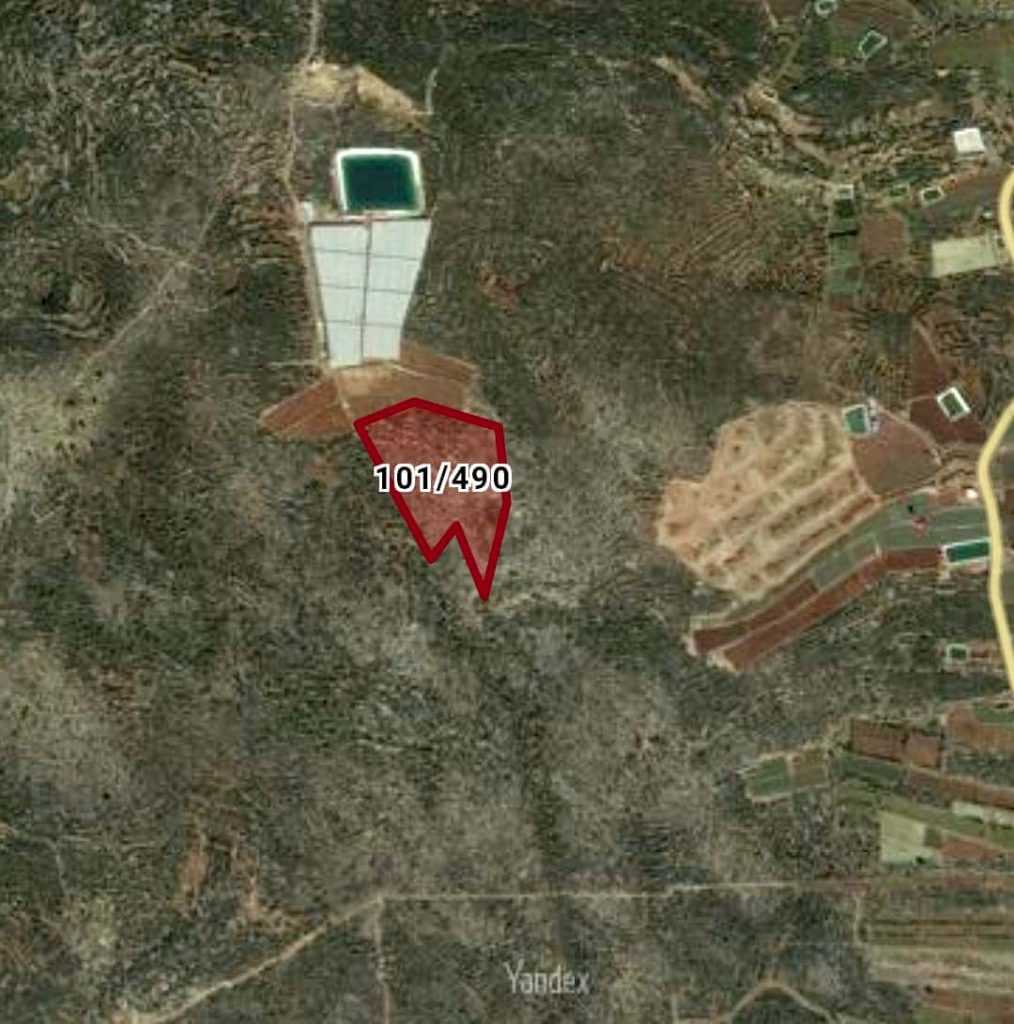 ERDEMLİ KARAİSALI 30.000M2 ZEYTİNLİK TARLA
