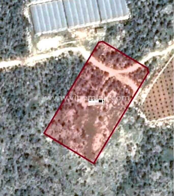 kaçırılmayacak fırsat koyuncu 6744 m2 satılık arsa