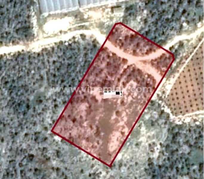 kaçırılmayacak fırsat koyuncu 6744 m2 satılık arsa