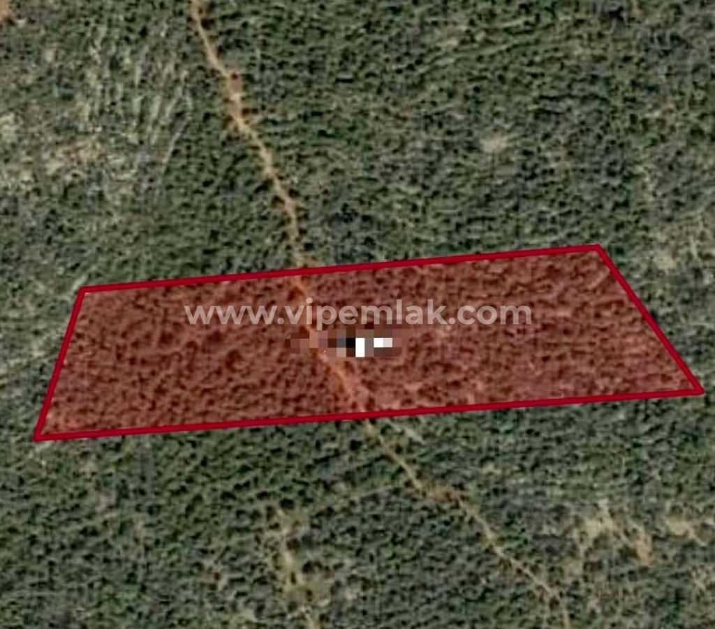 çiftlik için uygun karaahmetli 19 dönüm civarı satılık tarla