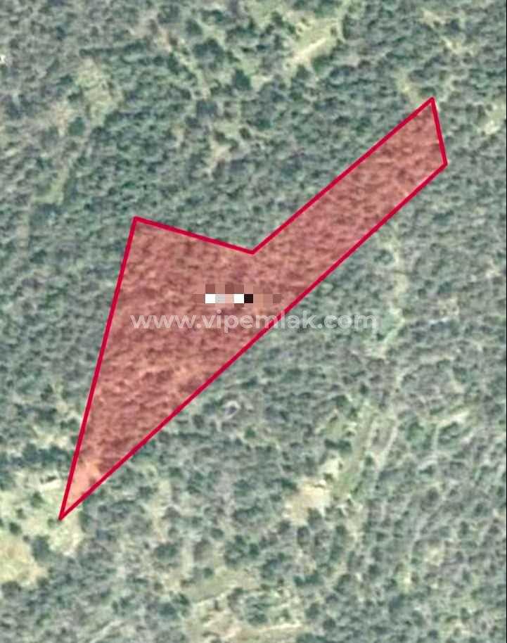 kumkuyuda  fiyatı uygun kaçırılmayacak fırsatta 6554m2 satılık tarla