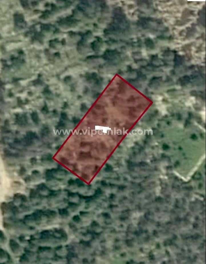 ayaş’ta kelepir satılık 1055m2 arsa fırsatı kaçırmayınız