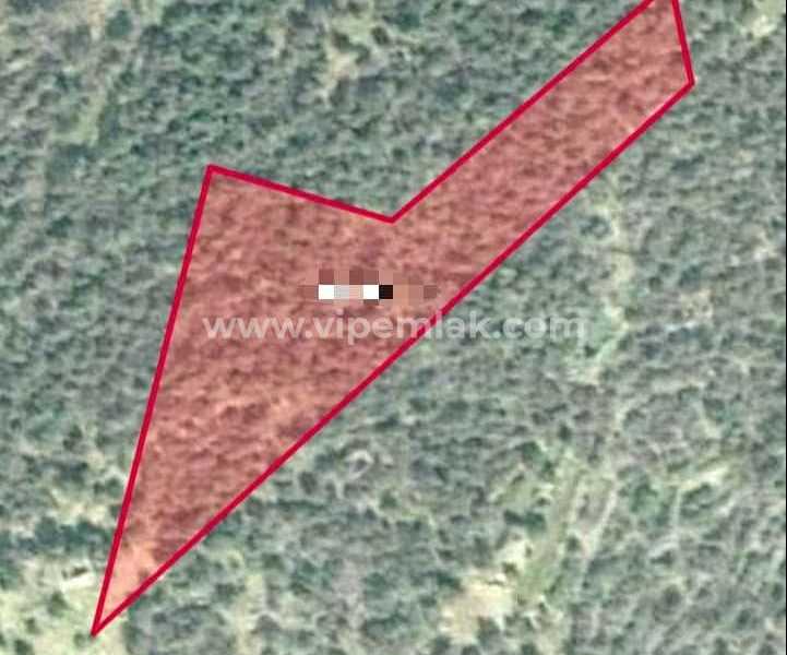 kumkuyuda fiyatı uygun kaçırılmayacak fırsatta 6554m2 satılık tarla