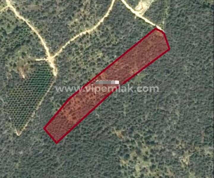 kumkuyuda 11716mt satılık kelepir tarla
