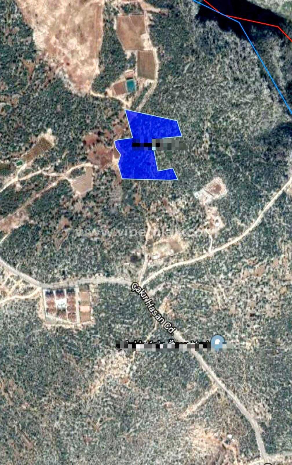 Mersin Erdemli Kızkalesi�nde Satılık 20.614 m2 Kelepir Fiyatta Tarla
