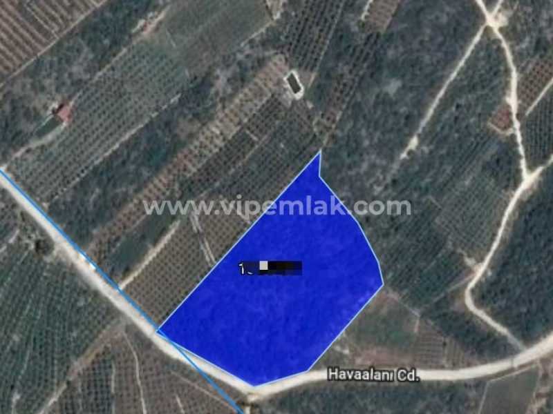 Kumkuyu’da 13916 m2 Satılık Kelepir Tarla