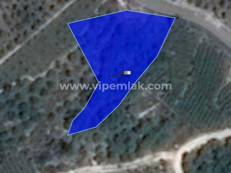 Erdemli Tırtar’da 1260m2 Satılık Kelepir Fiyatta Tarla