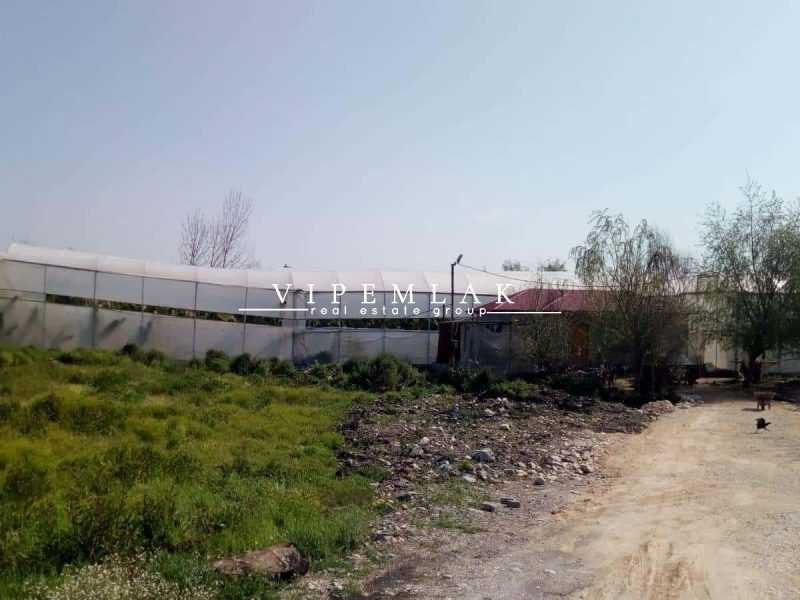 ERDEMLİ KOYUNCU’DA 6032 m2 SATILIK MUZ SERASI