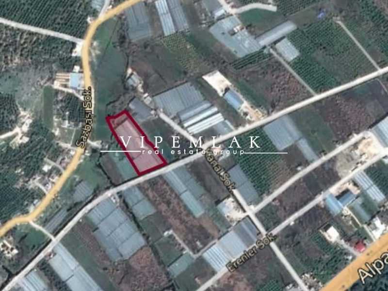 ERDEMLİ KOYUNCU’DA 6032 m2 SATILIK MUZ SERASI