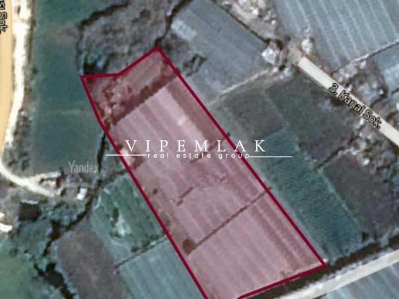 ERDEMLİ KOYUNCU’DA 6032 m2 SATILIK MUZ SERASI