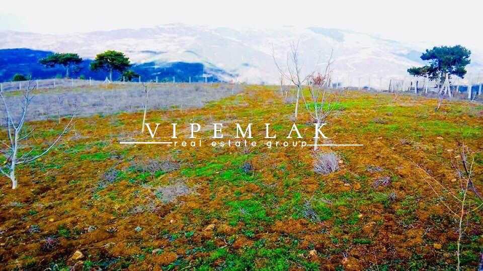 Sakarya geyve ahibaba 41.000m2 satılık kelepir tarla