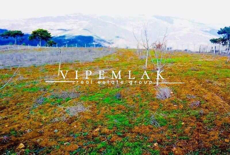 Sakarya geyve ahibaba 41.000m2 satılık kelepir tarla