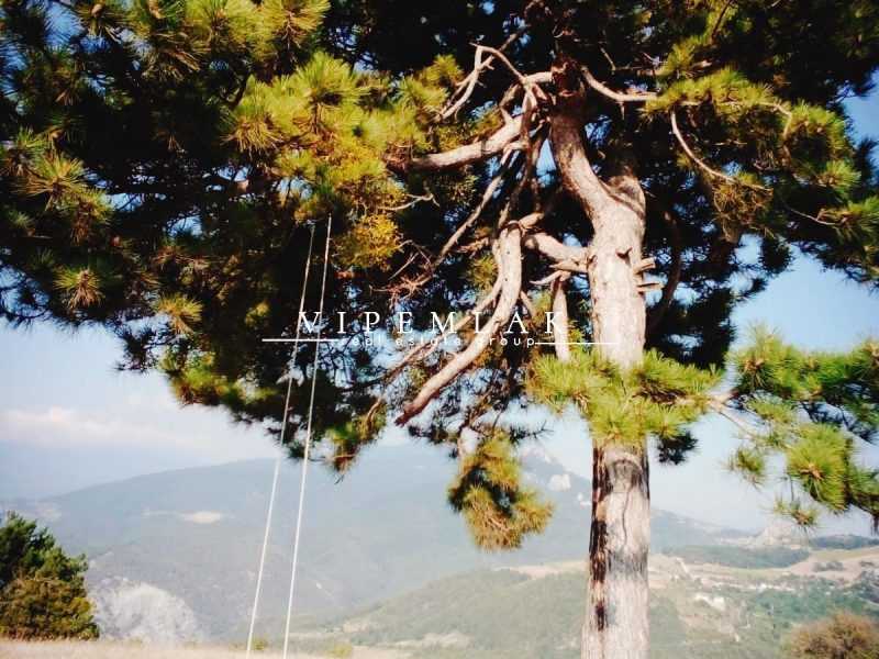 Sakarya geyve ahibaba 41.000m2 satılık kelepir tarla