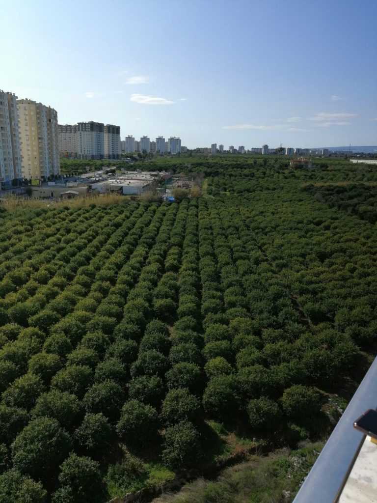 ÇEŞMELİ PARK DA SATILIK YÜKSEK KAT 1+1 DAİRE