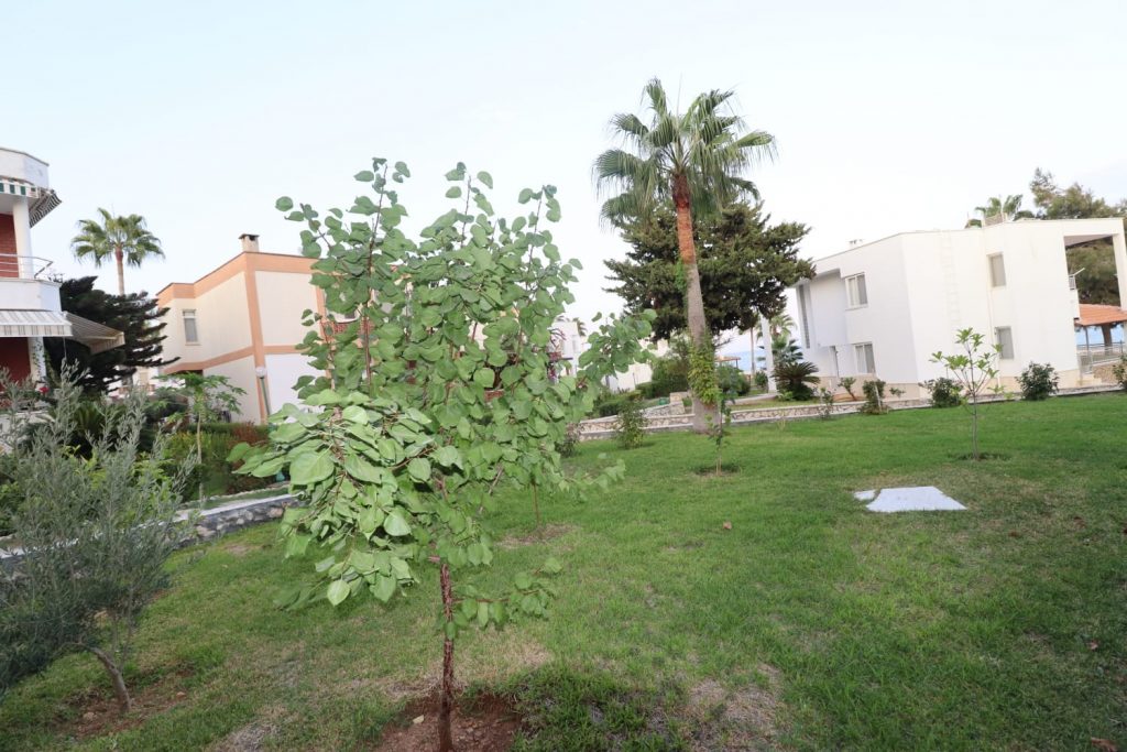 Kumkuyu Altınportakal Sitesi Satılık 4+1 Denize Sıfır Bağımsız  Villa