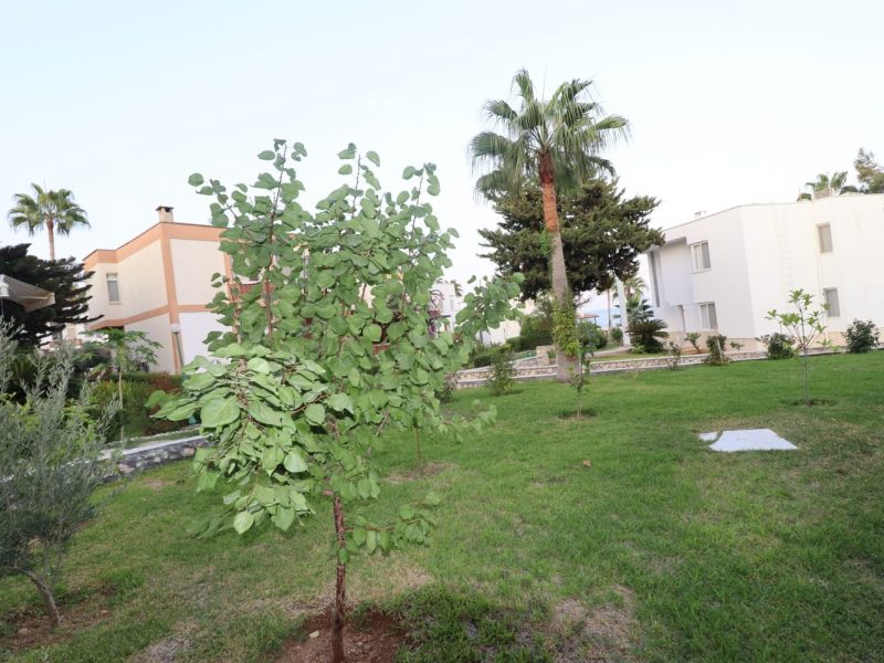 Kumkuyu Altınportakal Sitesi Satılık 4+1 Denize Sıfır Bağımsız Villa