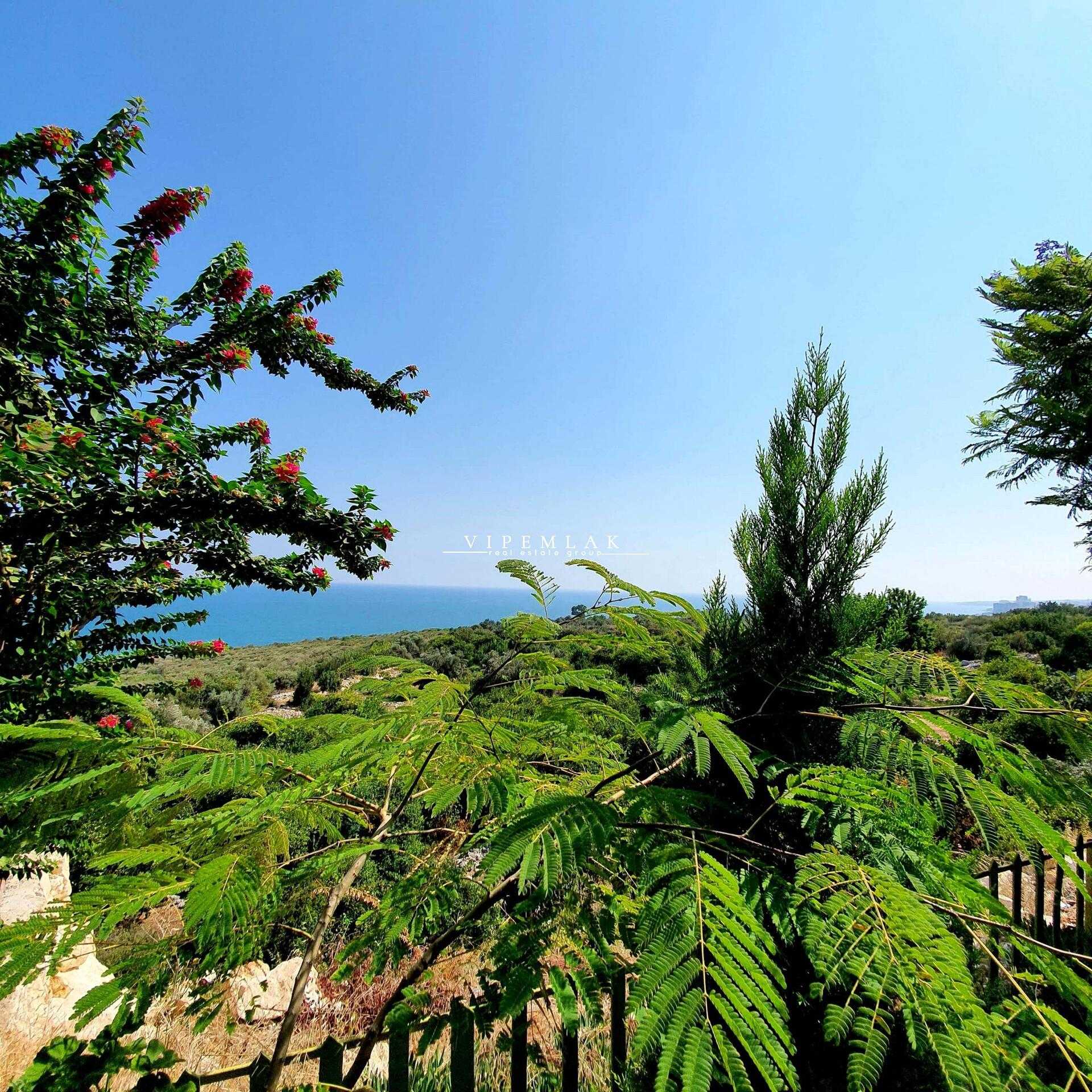 Mersin Erdemli Kumkuyu Tirtar Golden Orange Site