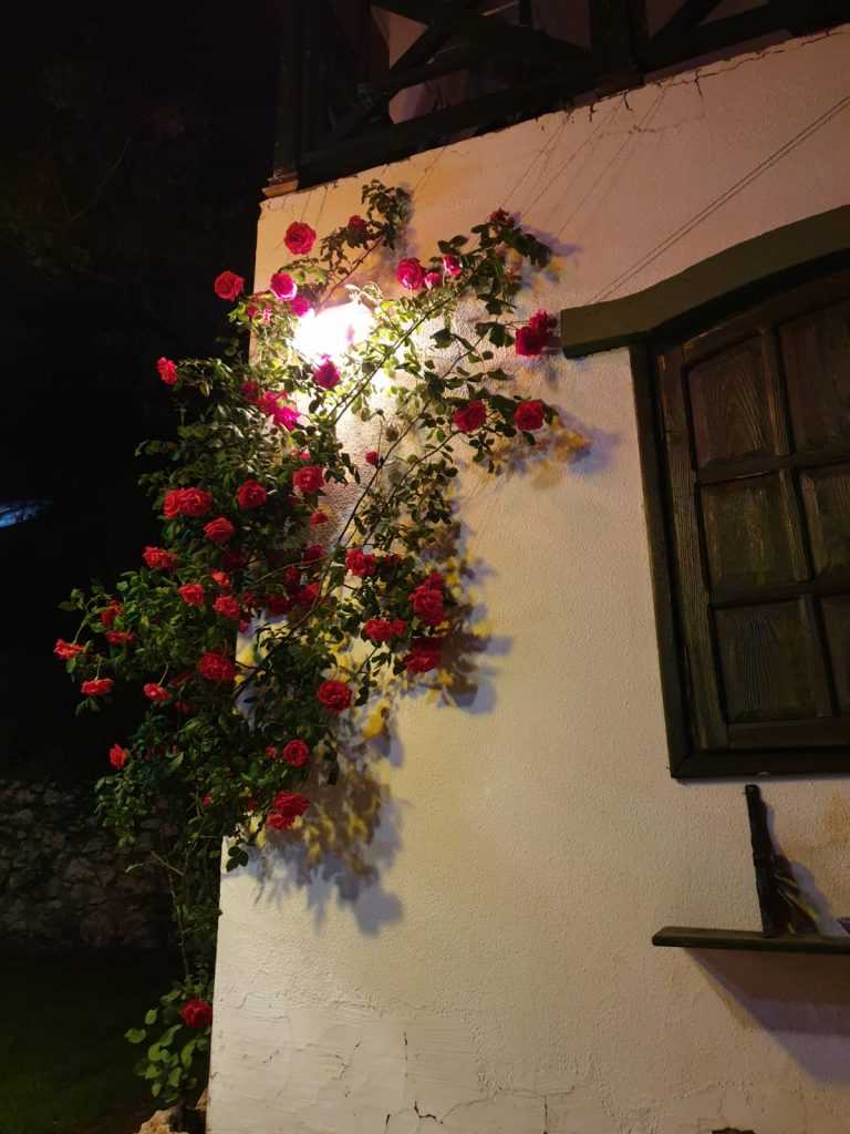 Çeşmeli de  Bağımsız Havuz Eşyalı Satılık 3.5+1  BağımsızÖzel Dizayn  Villa
