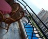 Çeşmeli Altunören 2 Sitesi Satılık Full Deniz Manzaralı 2+1 Daire