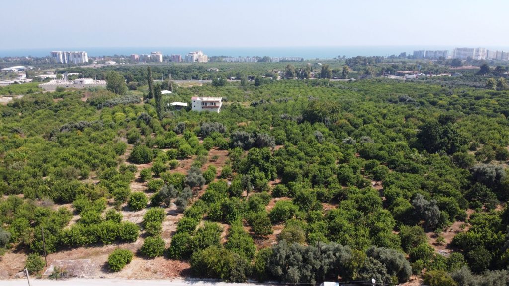 MERSİN ERDEMLİ KARGIPINARI İMARA AÇIK SATILIK TARLA